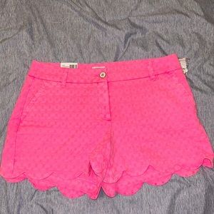 Crown & Ivy Shorts